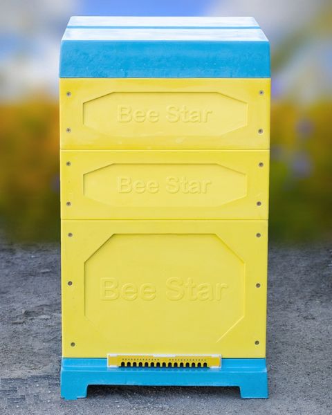 Улей ППУ BeeStar 10-ти рамочный 300 мм, 2*145 мм 1276 фото