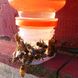 Крапельна поїлка для бджіл на бутилку 1067 фото 3